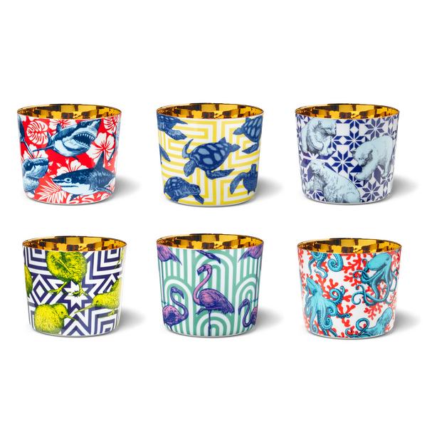 Sieger by Fürstenberg Beautiful Creatures Champagne goblets