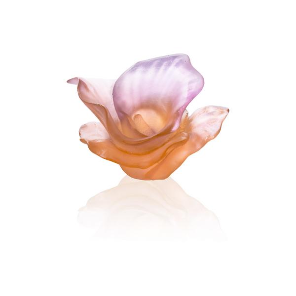 Daum Tischblume Arum Rose