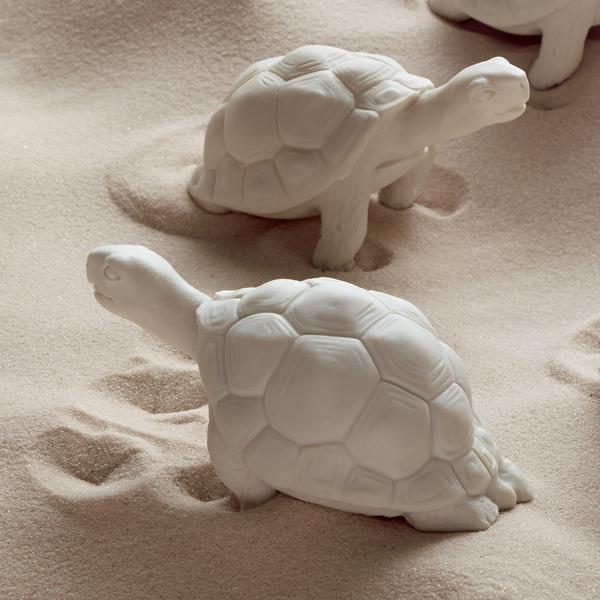 Nymphenburg Mona turtle
