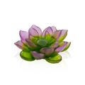 Daum Jardin de Lotus deco flower, purple-green