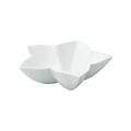 Raynaud Minéral White star dish