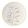 Bernardaud Jardin Indien dinner plate no. 1