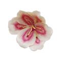 Nymphenburg Tischblume Magnolie, bemalt