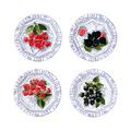Gien Oiseau Bleu Fruits set of 4 bread & butter plates, 4 patterns