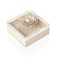 Riviere Lederbox Dahlia, elfenbein