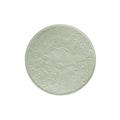 Raynaud Italian Renaissance Celadon bread & butter plate, entirely decorated