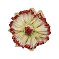 Nymphenburg Tischblume Passionsblume, bemalt