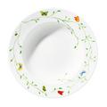 Raynaud Histoire Naturelle pasta plate