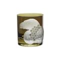 Artel African Safari double old fashioned tumbler, vulture in moss