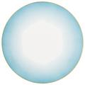 Raynaud Aura presentation plate