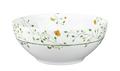 Raynaud Histoire Naturelle salad bowl