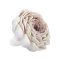 Nymphenburg Tischblume Paeonie, bemalt