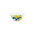 Raynaud Harmonia soup bowl