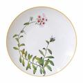 Bernardaud Jardin Indien deep round platter