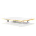 J.L Coquet Asia Gold Sushi-Platte