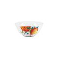 Raynaud Harmonia rice bowl