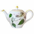 Bernardaud Jardin Indien coffee/teapot