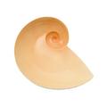 Nymphenburg Moon snail bowl, shell pink glazed interior, small
