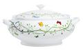 Raynaud Histoire Naturelle soup tureen