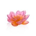Daum Jardin de Lotus deco flower, pink-orange