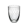 Theresienthal Planet Earth tumbler, clear, cut fishnet