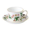 Wedgwood Wild Strawberry Delphi tea cup and saucer