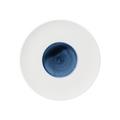 Hering Berlin Blue Silent coupe plate, medium