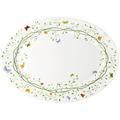 Raynaud Histoire Naturelle oval platter