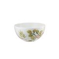 Raynaud Paradis dish, white
