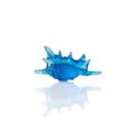 Daum Mer de Corail shell, L 9,5 cm