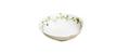 Raynaud Histoire Naturelle bone dish
