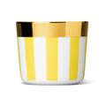 Sieger by Fürstenberg Cookies & Dreams Champagne goblet, yellow