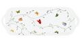 Raynaud Histoire Naturelle rectangular cake platter