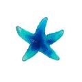 Daum Mer de Corail starfish, blue