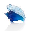 Daum Mer de Corail shell, L 23 cm