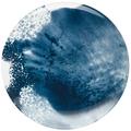 Raynaud Abysses presentation plate