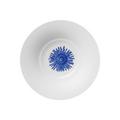 Hering Berlin Ocean dessert bowl, motif sea urchin