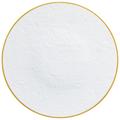 Raynaud Italian Renaissance White with gold rim presentation plate, entirely decorated