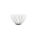 J.L Coquet Toundra Platin Bol medium
