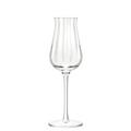Saint-Louis Twist 1586 young spirits glass