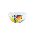 Raynaud Harmonia bowl