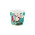 Raynaud Trésor Fleuri Kerzendose, Magnolie