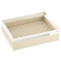 Riviere Vanity leather box with acrylic lid, ivory, large