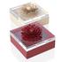 Riviere Lederboxen Dahlia - Bild1