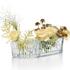 Baccarat Mille Nuits Infinité vases - Picture1