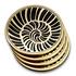 L'Objet Glasuntersetzer Shell, 4er-Set - Bild1
