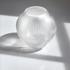 Lalique Alize vase, h 17 cm - Picture1