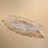 Lalique Schale Silex, L 45 cm - Bild1