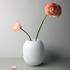Nymphenburg Vase Musu - Bild1