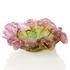 Daum Roses bowl, l 27 cm